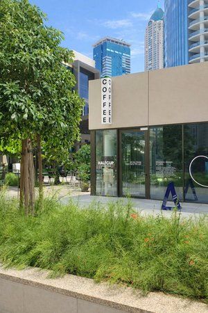 HALFCUP BUSINESS BAY