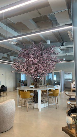 Julith Coffee & Roastery