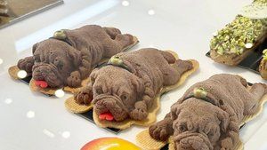 Roasters Specialty Coffee House Boulevard Downtown